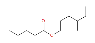 4-Methylhexyl pentanoate
